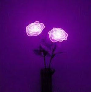 Meet your Posher, Rhayne